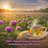 Cardo Mariano Mexican Herbal Tea - 4 oz (113g) - Authentic 100% Natural Milk Thistle Loose Leaf Tea - Wildcrafted, Non-GMO & Caffeine-Free