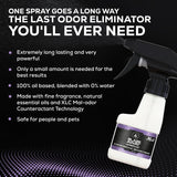 Blaze Away Commercial Air Freshener & Odor Eliminator for Strong Odor - Industrial-Grade Room Spray & Room Deodorizer for Home, Car, Smoke & Pet Odors