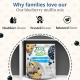 Concord BLUEBERRY Muffin Mix - 6 (SIX) 15oz Boxes
