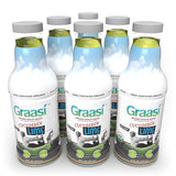 Graasi Organic Barley Grass Water | Hydration Drink with Vitamin C, D, Zinc | USDA Organic, Non-GMO, Vegan | Low-Calorie Wellness Beverage | Cucumber
