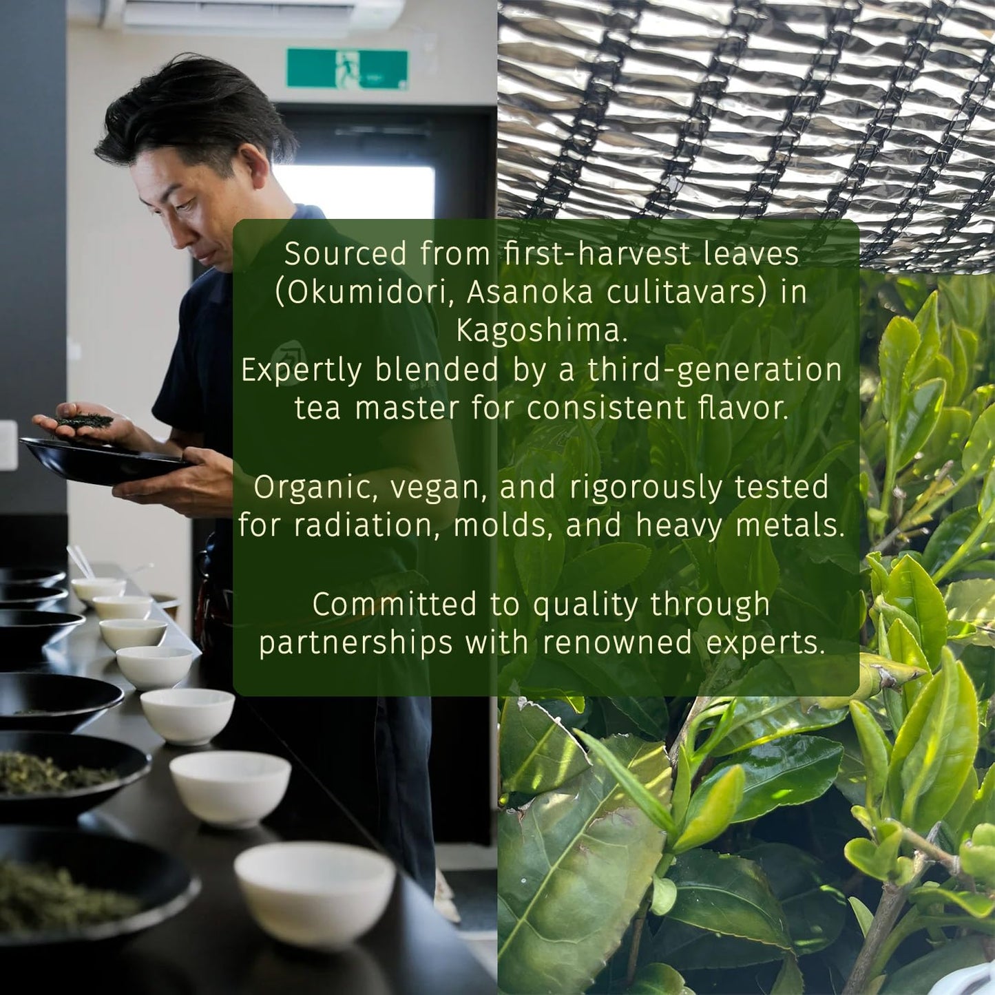 Midori Spring Organic Ceremonial Grade Matcha - Gold 1st Harvest Blend, Japanese Stone Ground Green Tea Powder, Radiation, Gluten Free, Vegan (Organic