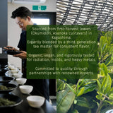 Midori Spring Organic Ceremonial Grade Matcha - Gold 1st Harvest Blend, Japanese Stone Ground Green Tea Powder, Radiation, Gluten Free, Vegan (Organic