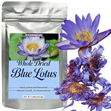 Lotus Flower Tea | Natural Whole Blue Dried Flowers | Caffeine-free - 1 oz