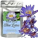 Lotus Flower Tea | Natural Whole Blue Dried Flowers | Caffeine-free - 1 oz