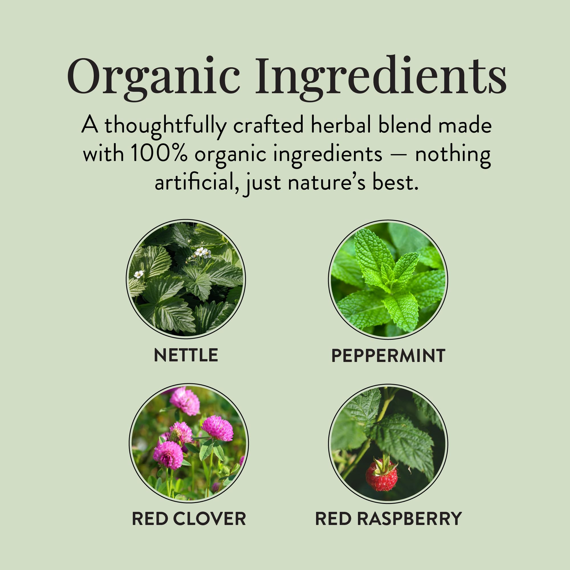Moontime Tea Organic Fertility Tea for Women TTC | Red Raspberry Leaf, Nettle, Red Clover & Peppermint | Preconception Wellness | USDA Certified | 30