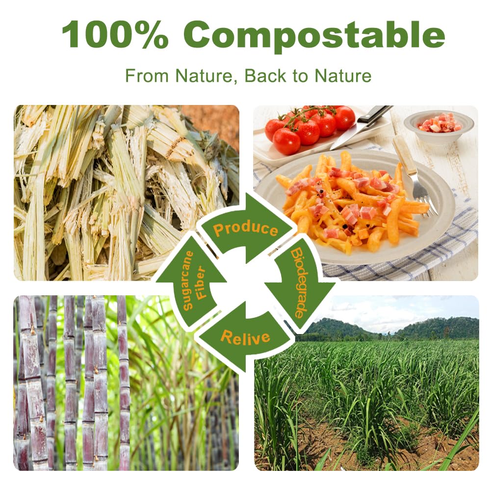 150 Pcs Disposable Paper Plates and Bowls Bulk, 50 Pack Compostable Paper Plates and Bowls Dinnerware Set, Include 7 Inch & 9 Inch Plate, 12 Oz