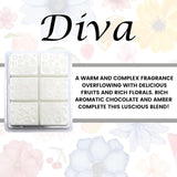 Tyler Diva Glamorous Wash Laundry Detergent (4 oz.) Bundle with Tyler Diva Mixer Melts and Lumintrail Stain Remover Pen - Perfect Diva Gift Pack