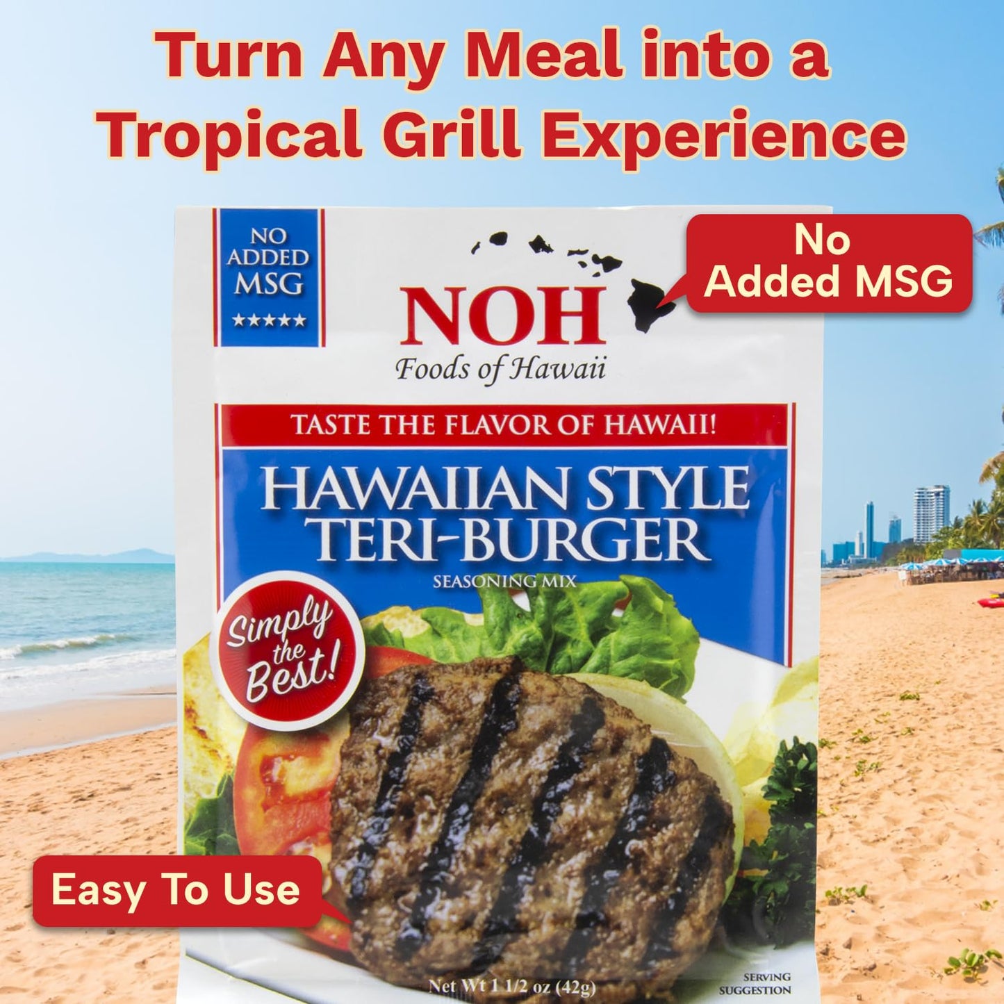 NOH Hawaiian Style Teri-Burger Seasoning Mix, 1.5 oz Packet (Pack of 3) - Easy-to-Use Hawaiian Teriyaki Burger & Meatloaf Seasoning Mix, Ideal
