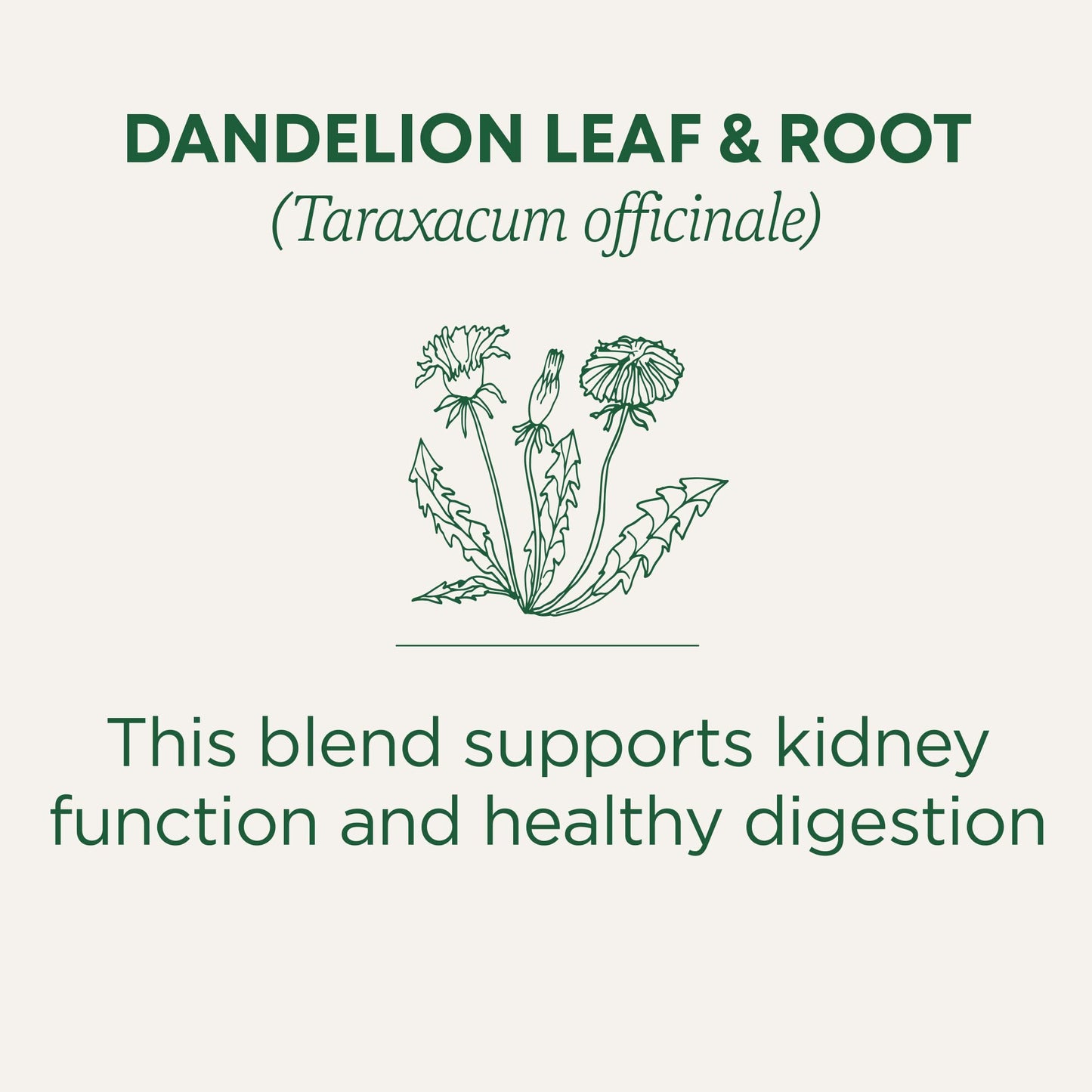 Traditional Medicinals Organic, Dandelion Leaf & Root - Dandelion Root Tea, Supports Normal Detox + Digestion - Kosher, Non-GMO, Caffeine-Free