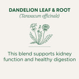 Traditional Medicinals Organic, Dandelion Leaf & Root - Dandelion Root Tea, Supports Normal Detox + Digestion - Kosher, Non-GMO, Caffeine-Free
