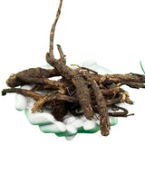 Wildcrafted OSHA Root (Bear Root) Ligusticum porteri Fresh Harvested from New Mexico 1 oz