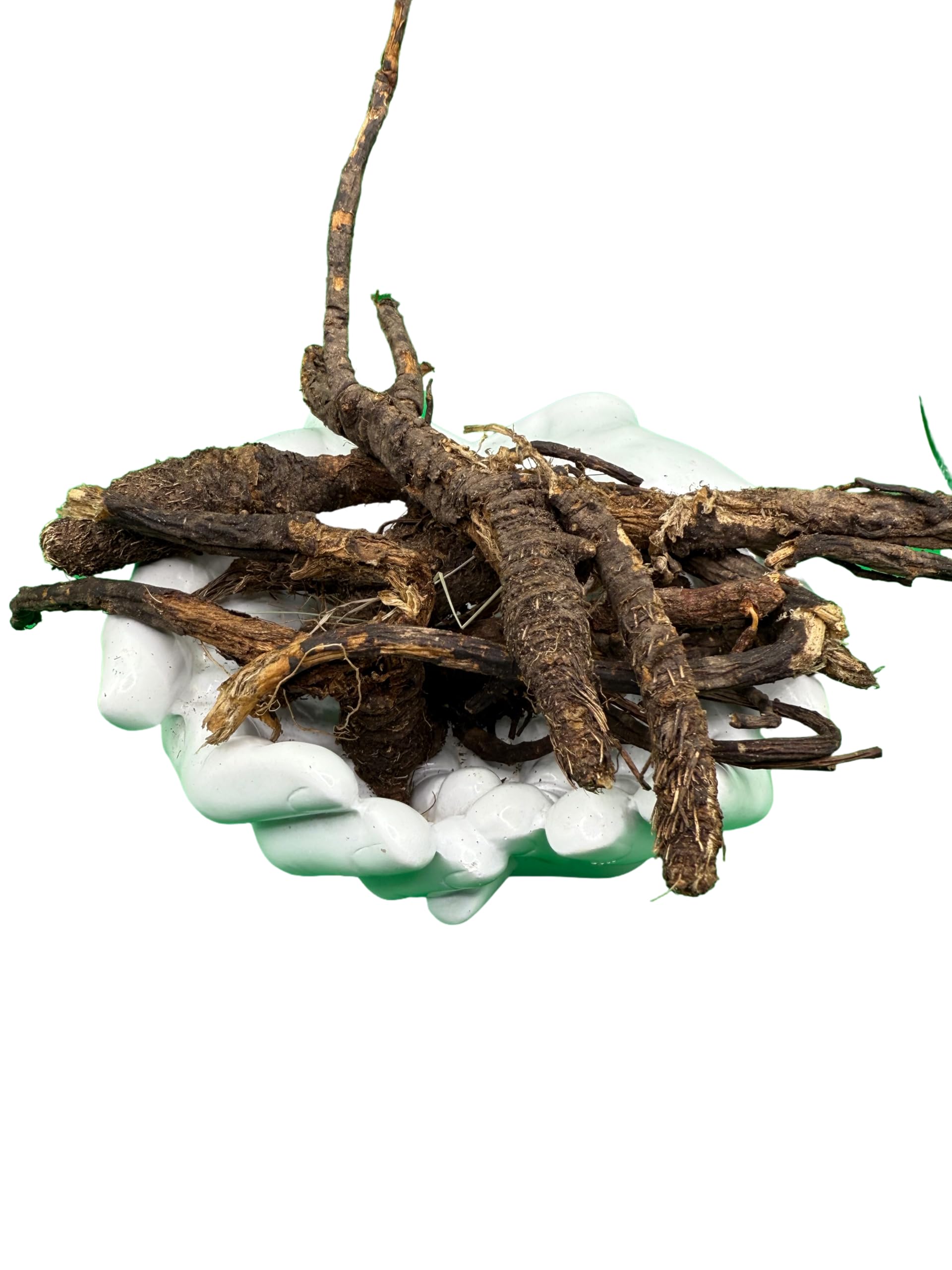 Wildcrafted OSHA Root (Bear Root) Ligusticum porteri Fresh Harvested from New Mexico 1 oz