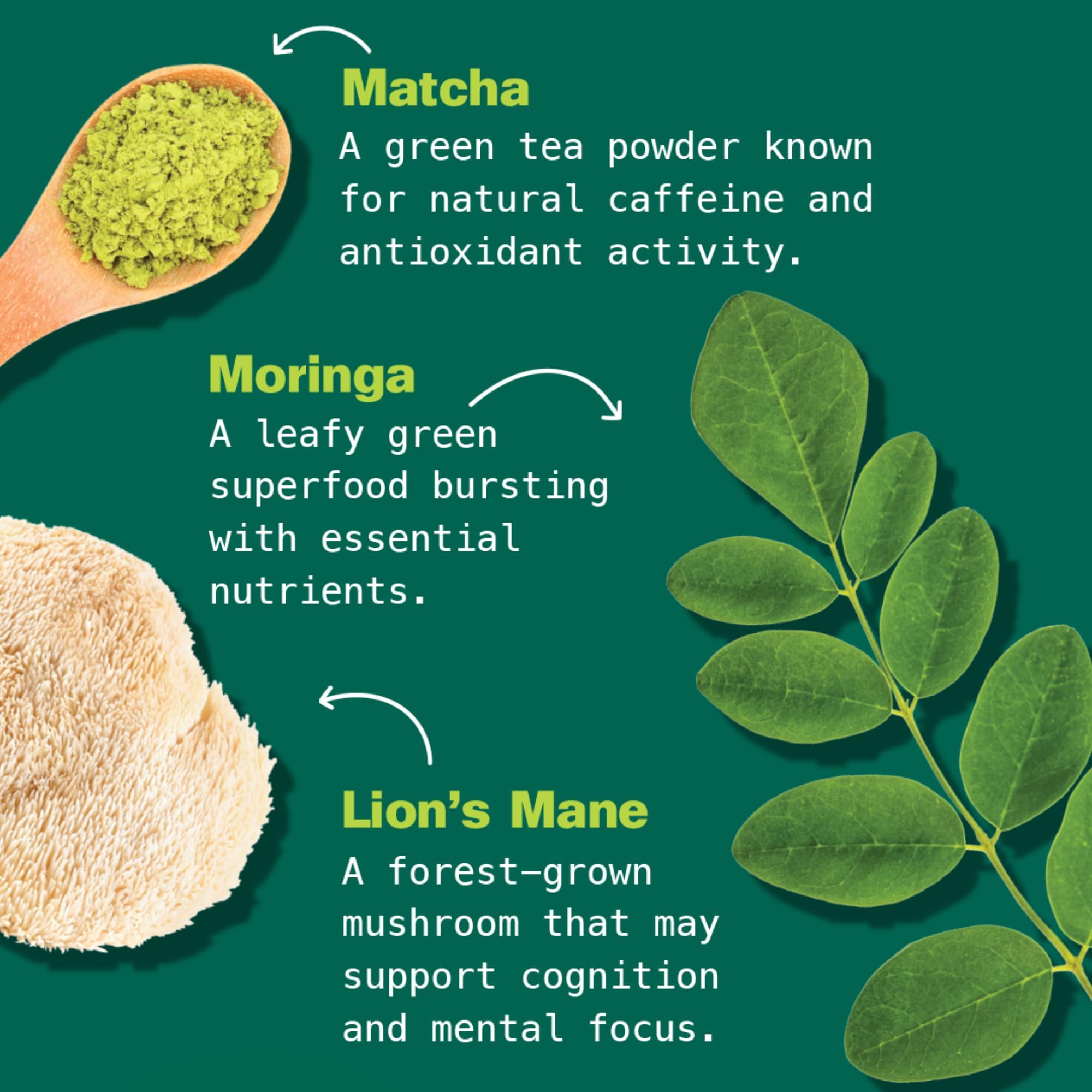 Kuli Kuli Matcha Moringa Organic Superfood Latte - Matcha Green Tea Powder for Natural Caffeine & Antioxidants with Moringa and Lion’s Mane
