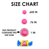 Dubble Bubble Gumballs, 24 pack of 12-Gumball Tubes in Assorted Fruit Flavors