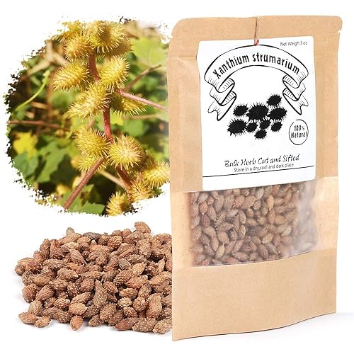 EidolonGreen Dried Xanthium Strumarium (Cocklebur/???/Cang Er Zi) Pods | Whole Loose Herbs for Botanical Reference, TCM Study & Craft Display | 3 Oz