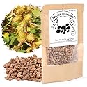 EidolonGreen Dried Xanthium Strumarium (Cocklebur/???/Cang Er Zi) Pods | Whole Loose Herbs for Botanical Reference, TCM Study & Craft Display | 3 Oz