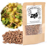 EidolonGreen Dried Xanthium Strumarium (Cocklebur/???/Cang Er Zi) Pods | Whole Loose Herbs for Botanical Reference, TCM Study & Craft Display | 3 Oz
