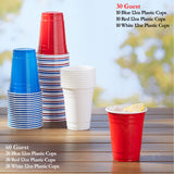 Nicole Fantini 411 PCS Combo American Flag Themed Red White and Blue Disposable Party Set 60 9'' Plastic Dinner Plates | Cups Paper Napkins 96 cutlery