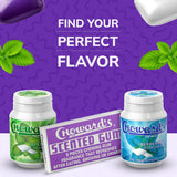 Choward's Scented Gum | Bold Aromatic Refreshing Flavor | Perfect for Fresh Breath, Travel, Sharing, and Gifting | Nostalgic Chewing Gum | Pack of 6