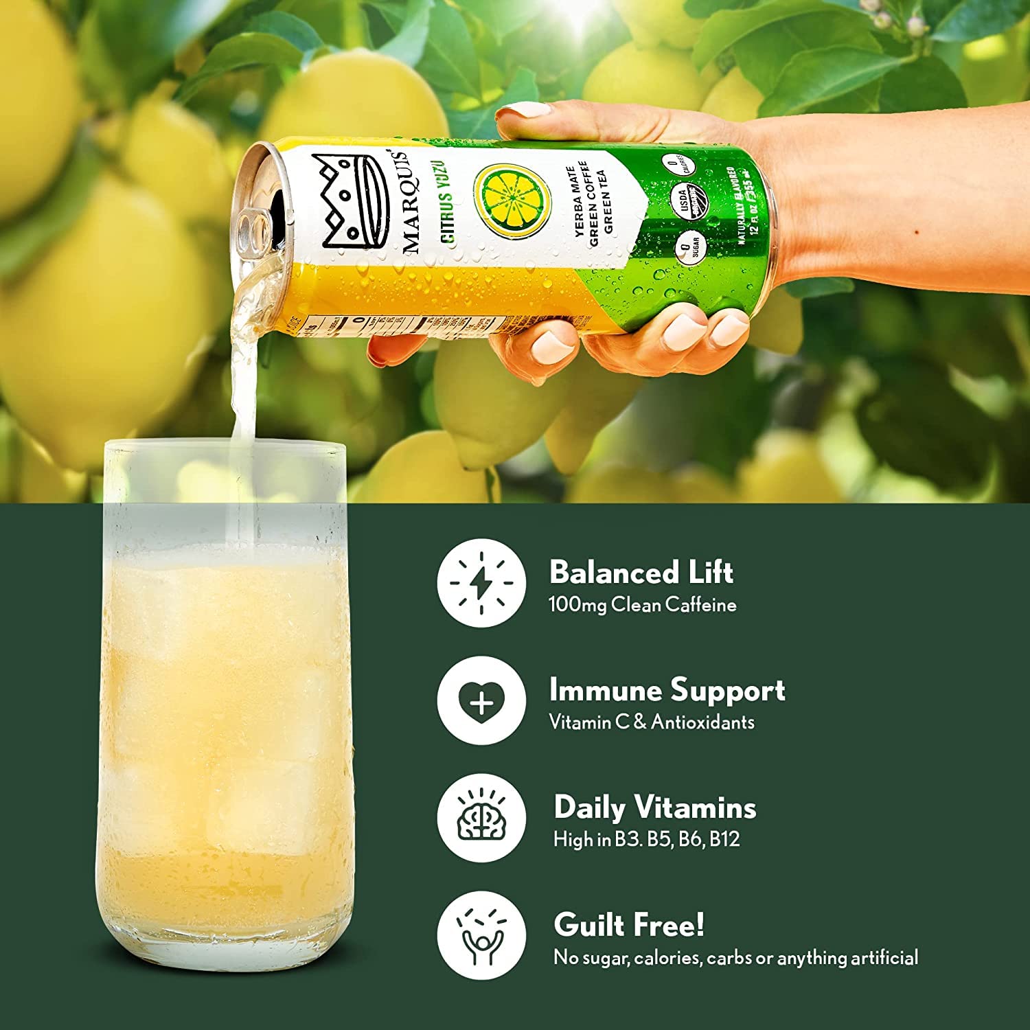 Organic Green Tea + Yerba Mate Drink by Marquis |Antioxidant Infused Sparkling Beverage | Zero Sugars, Zero Calories | Citrus Yuzu Flavor Super Tea |