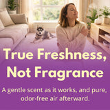 Capture Carpet & Rug Dry Cleaner: Carpet Deodorizer & Freshener Powder - Pet Odor Eliminator - Spot & Stain Remover - Fresh Natural Scent - Carpet