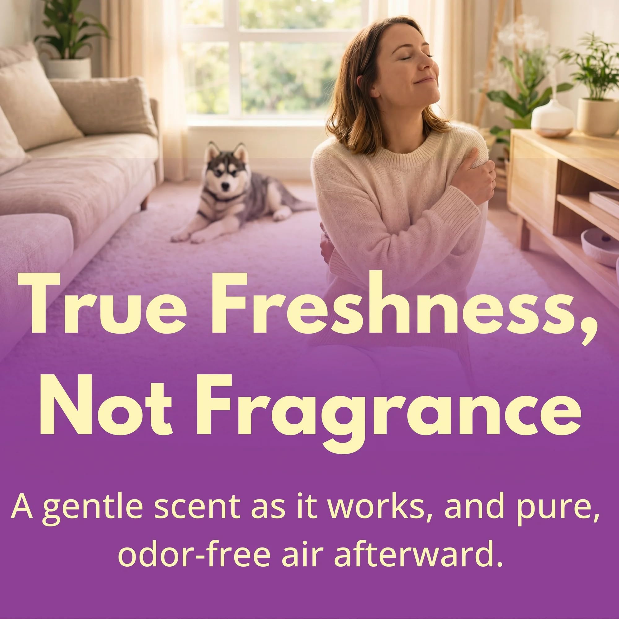 Capture Carpet & Rug Dry Cleaner: Carpet Deodorizer & Freshener Powder - Pet Odor Eliminator - Spot & Stain Remover - Fresh Natural Scent - Carpet