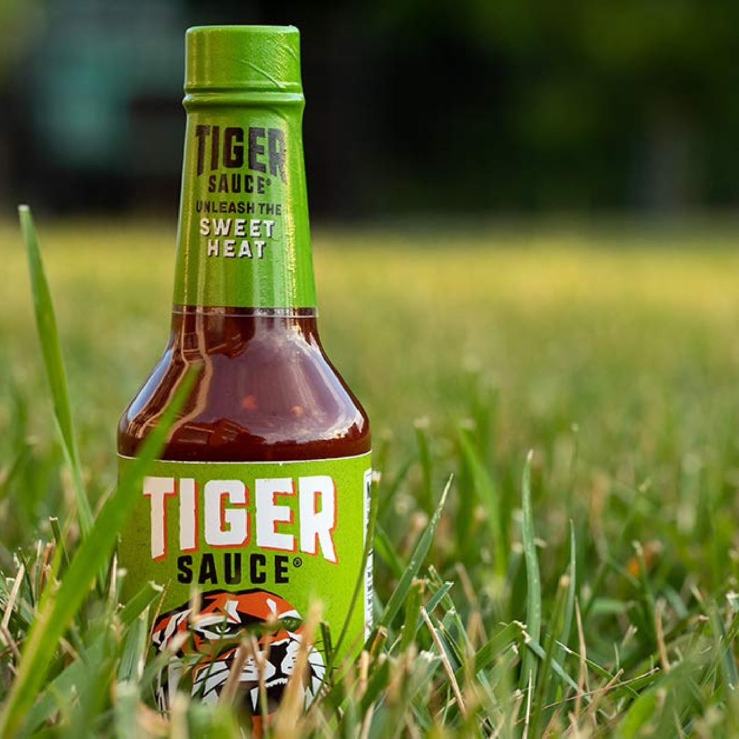 Tiger Sauce Habanero Lime Spicy Hot Sauce, 5oz Bottle (Pack of 1)