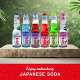 Shirakiku Ramune Variety pack, 6 Count, 6.76 Fl Oz Glass Bottles, Japanese Carbonated Soft Drink