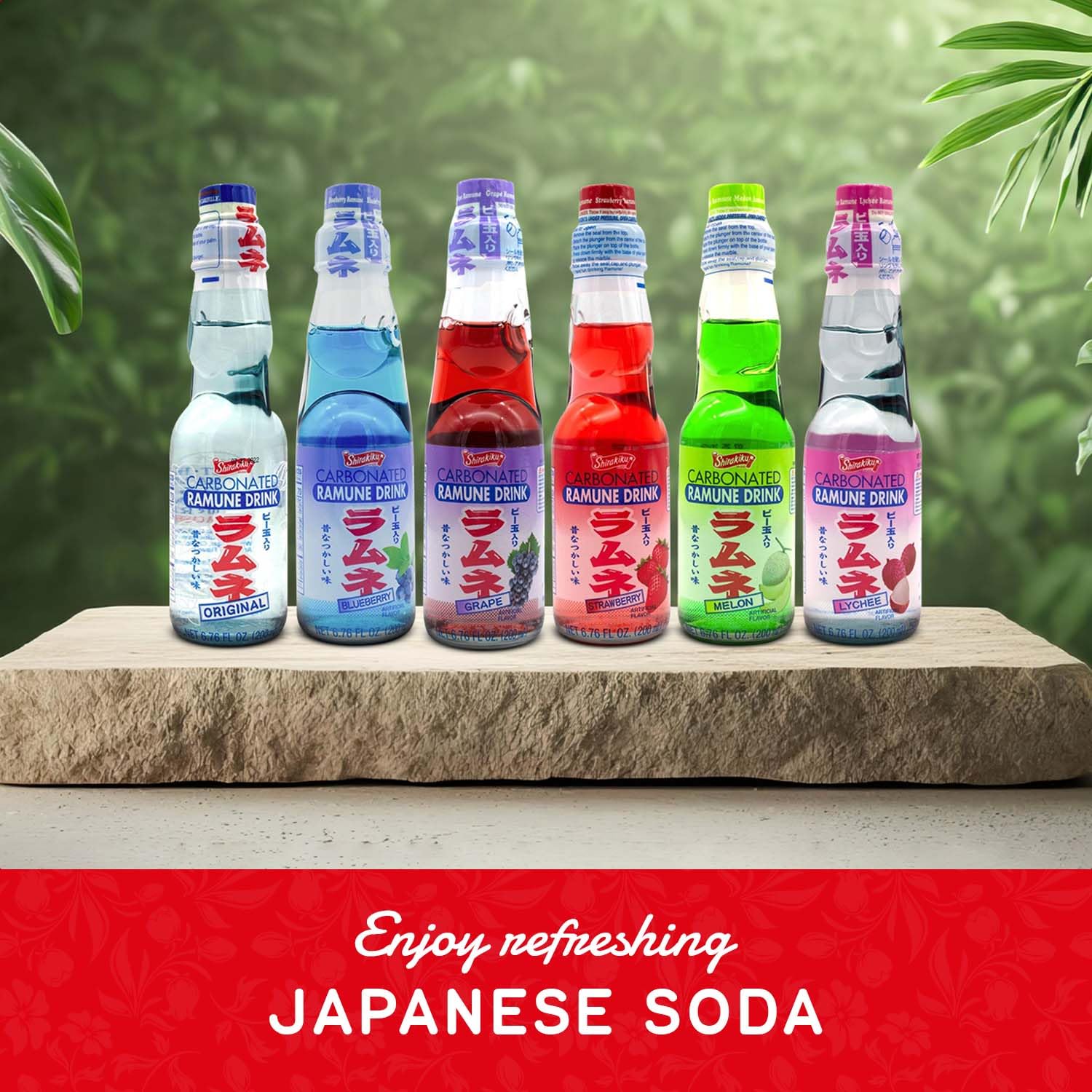 Shirakiku Ramune Variety pack, 6 Count, 6.76 Fl Oz Glass Bottles, Japanese Carbonated Soft Drink