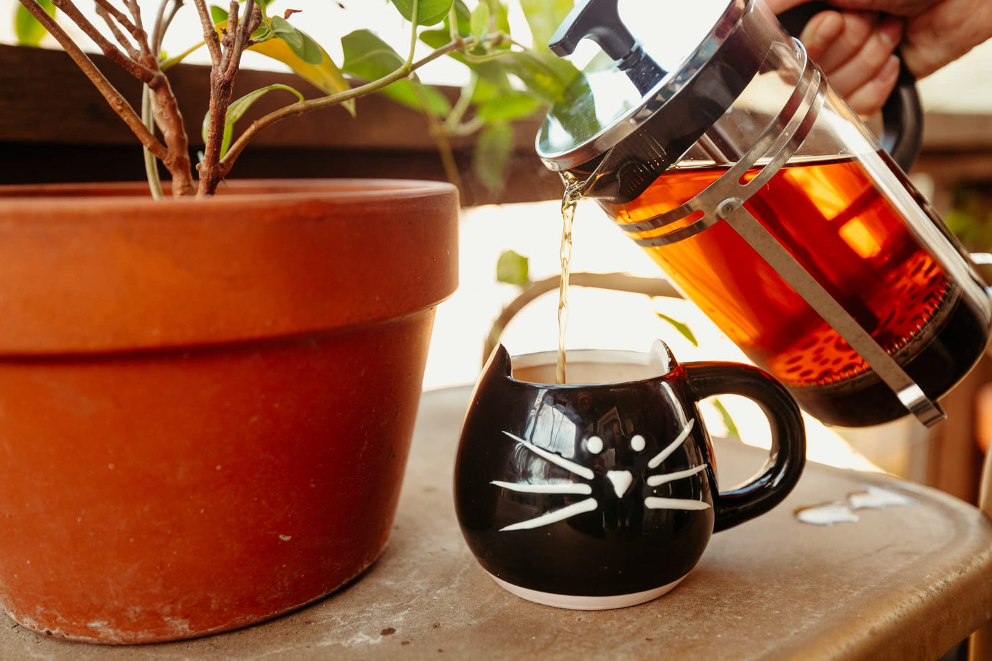 2 oz Light Roast Yaupon Tea (loose leaf) - Lost Pines Yaupon Tea - Sustainably wild harvested yaupon, the only caffeinated plant native to North