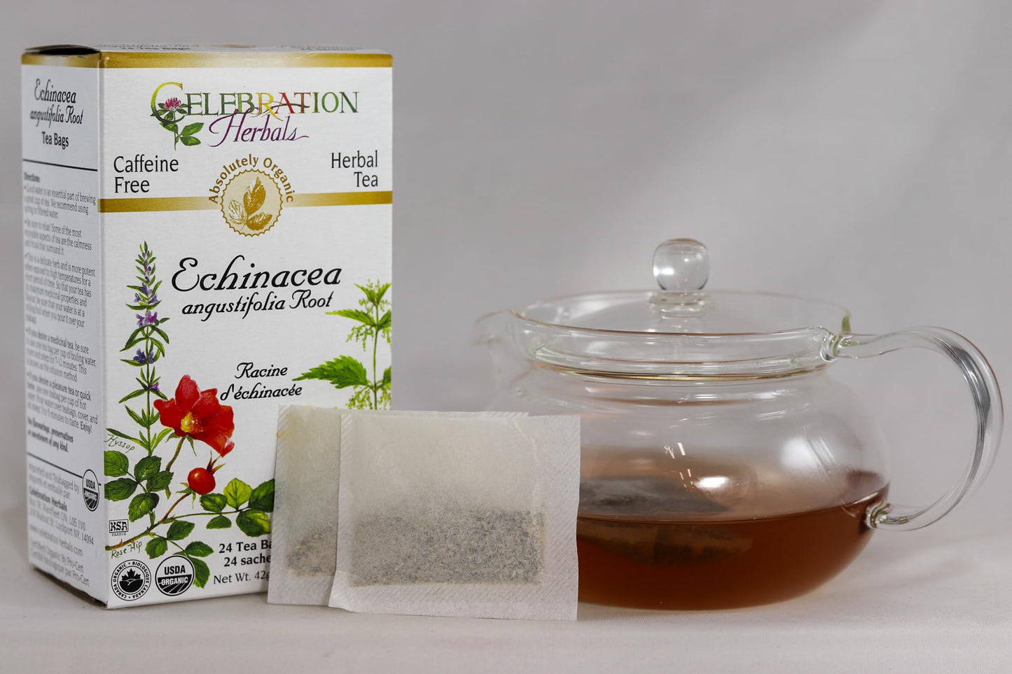 Celebration HERBALS Echinacea ANG Herb Tea Organic 24 Bag, 0.02 Pound