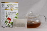 Celebration HERBALS Echinacea ANG Herb Tea Organic 24 Bag, 0.02 Pound