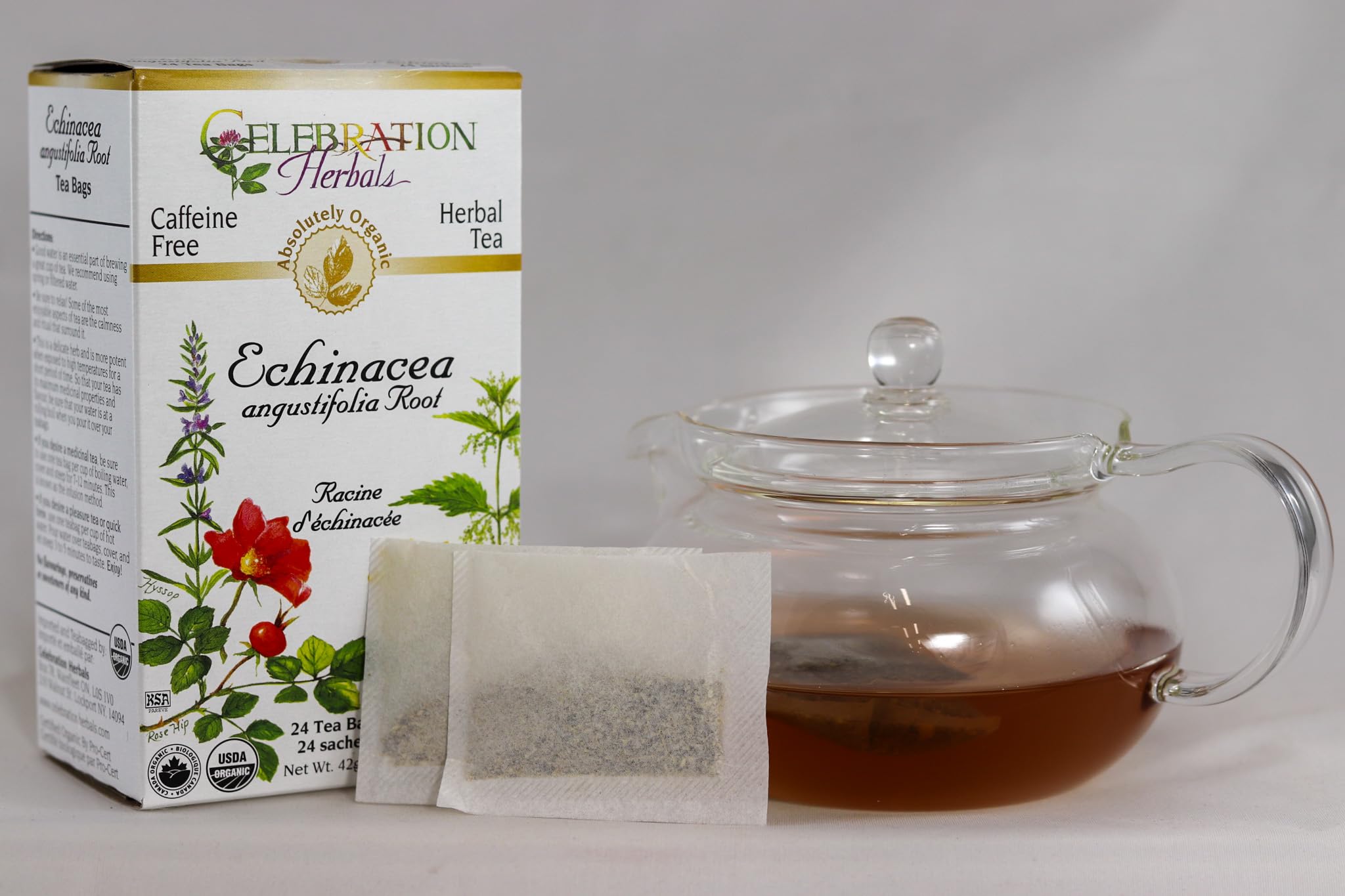 Celebration HERBALS Echinacea ANG Herb Tea Organic 24 Bag, 0.02 Pound