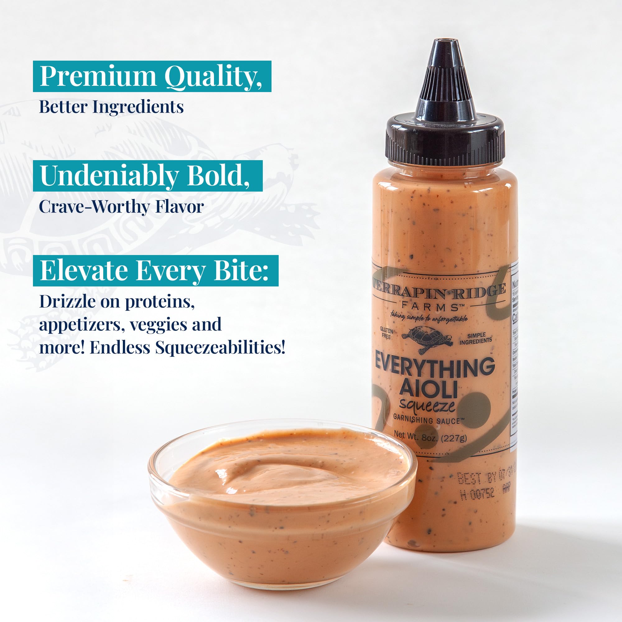 Terrapin Ridge Farms Everything Aioli Sauce, Creamy Gourmet Condiment - 8 oz Squeeze Bottle (Pack of 2)