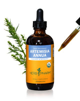Herb Pharm Certified Organic Artemisia Annua (Sweet Annie) Liquid Extract Drops, 4 Oz