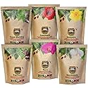 Java Planet, Coffee Gift Basket Sampler Set, for Coffee Lovers: Low Acid Organic Beans: Whole Bean, Mold-Free & Stomach Friendly - Arabica Gourmet