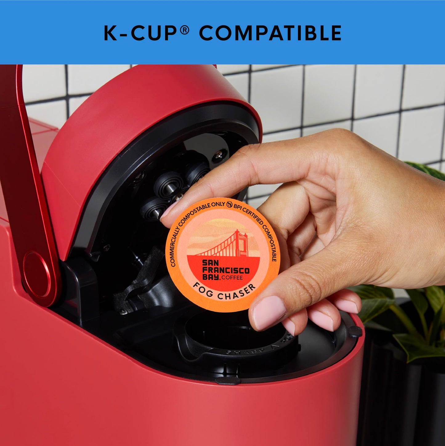 San Francisco Bay K-Cup Coffee Pods Favorite Four Variety Pack (80 ct), Includes French Roast, Fog Chaser, Organic Rainforest, & Breakfast Blend