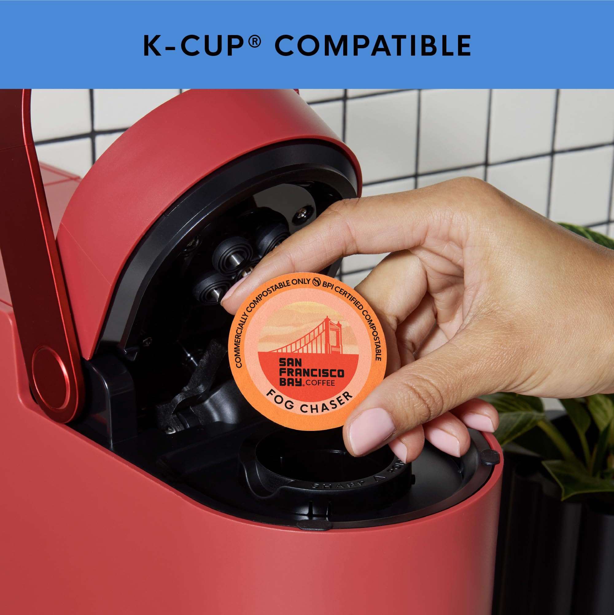 San Francisco Bay K-Cup Coffee Pods Favorite Four Variety Pack (80 ct), Includes French Roast, Fog Chaser, Organic Rainforest, & Breakfast Blend
