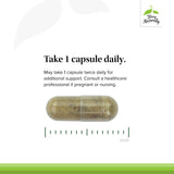 Terry Naturally GMT23 Greek Mountain Tea Plus Bacopa - Dietary Supplement for Focus Support - Brain Health Supplement for Attention to Detail - Herbal