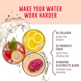 FlavCity Anytime Essential Lemonade Variety Pack - Powder Drink Mix Packets with Collagen - Lemonade Packets in 3 Flavors - Water Flavoring