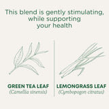 Traditional Medicinals Tea, Organic Green Tea Lemongrass - Supports Everyday Wellness - Kosher, Non-GMO -16 Tea Bags