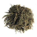 EidolonGreen [China Medicinal Herb] Leaf of Arborvitae (Green leaf of Arborvitae/Thuja/???/???/Ce bai ye) Dried Bulk Herbs (3 Oz / 88g)