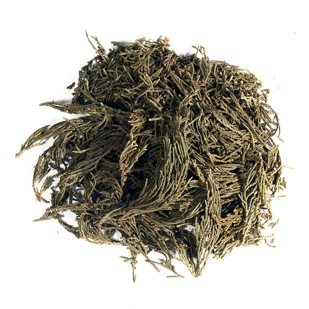 EidolonGreen [China Medicinal Herb] Leaf of Arborvitae (Green leaf of Arborvitae/Thuja/???/???/Ce bai ye) Dried Bulk Herbs (3 Oz / 88g)