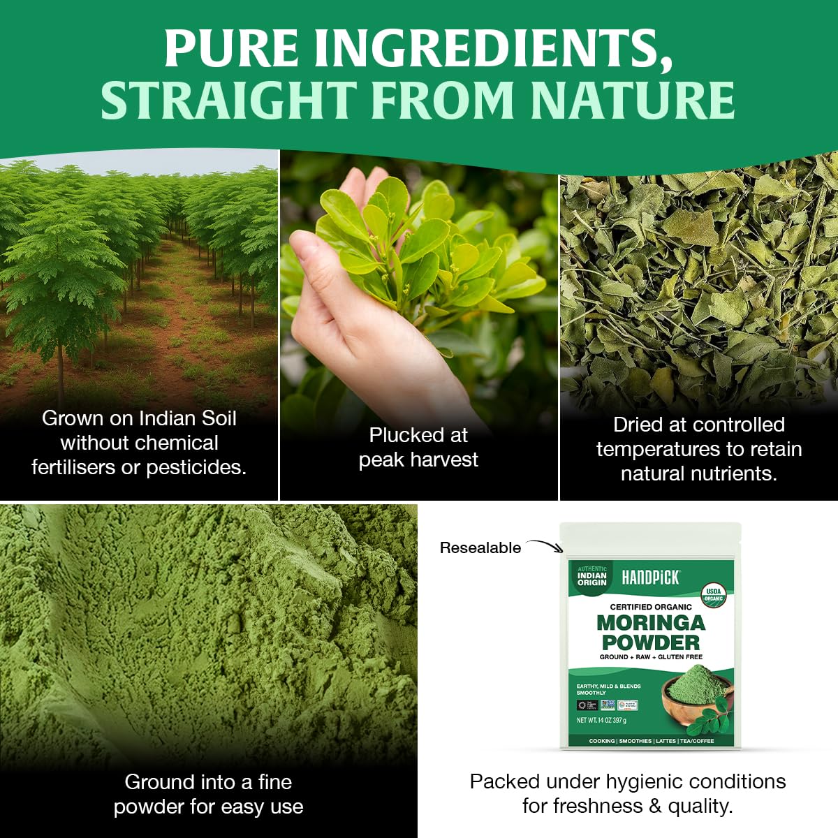 HANDPICK USDA Organic Moringa Powder (397g/14oz) Pure Moringa Oleifera Leaf Powder | Authentic Indian Origin | Gluten Free, Non-GMO | Perfect