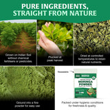 HANDPICK USDA Organic Moringa Powder (397g/14oz) Pure Moringa Oleifera Leaf Powder | Authentic Indian Origin | Gluten Free, Non-GMO | Perfect