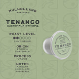 Mulholland Roasters | Tenango Coffee Single Cup B-Pods | Only Compatible with BRUVI Single-Serve Coffee Brewer | Includes 60 Pods