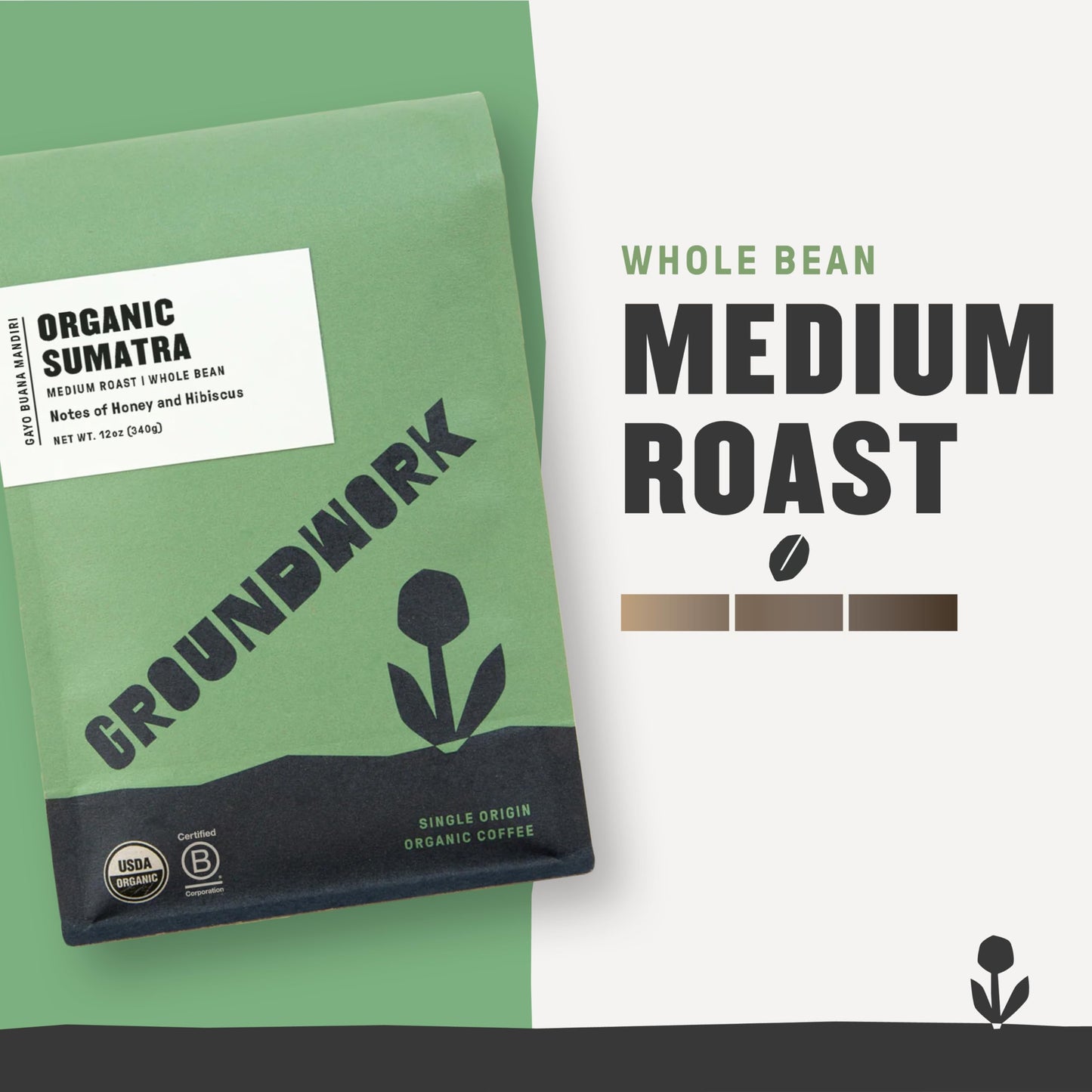 GROUNDWORK COFFEE CO Organic Sumatra Whole Bean Coffee, 12 OZ