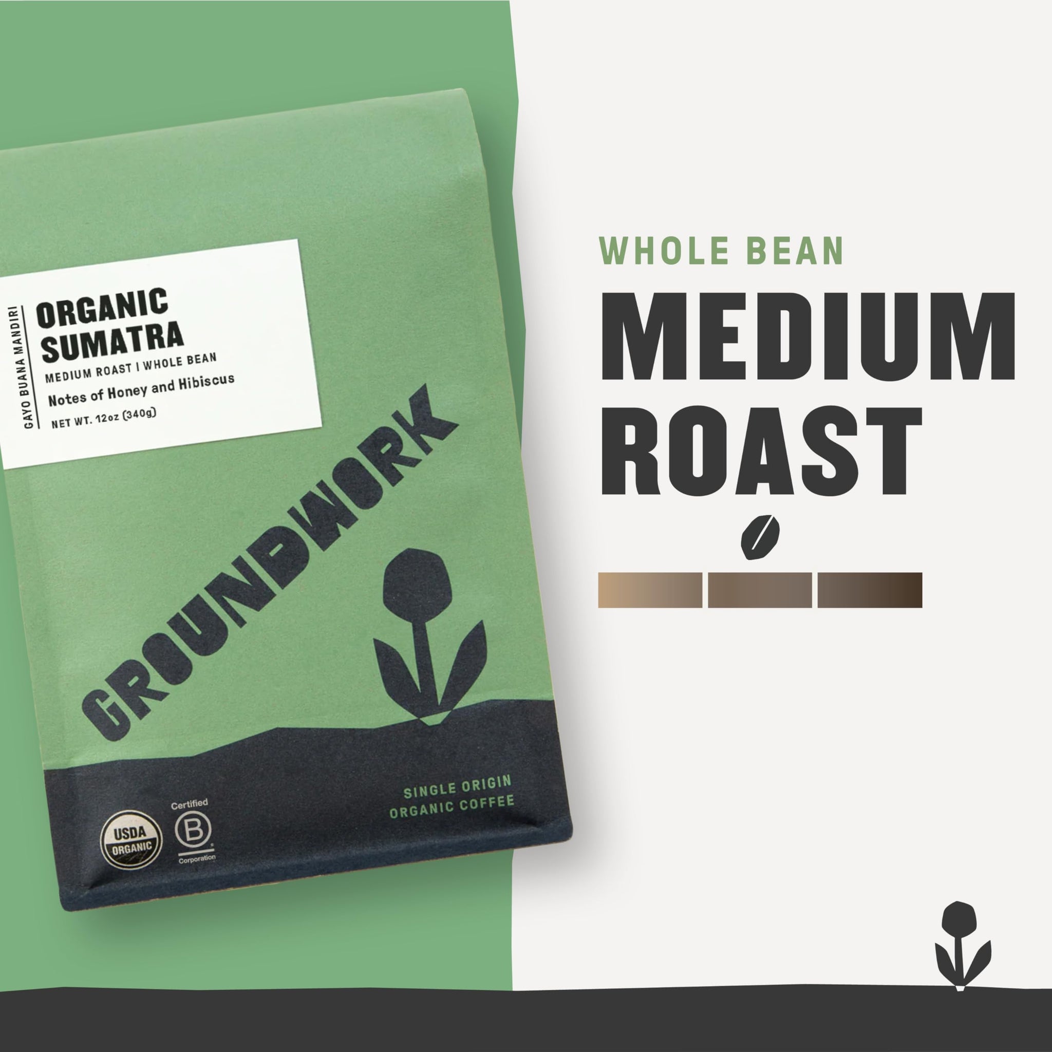 GROUNDWORK COFFEE CO Organic Sumatra Whole Bean Coffee, 12 OZ