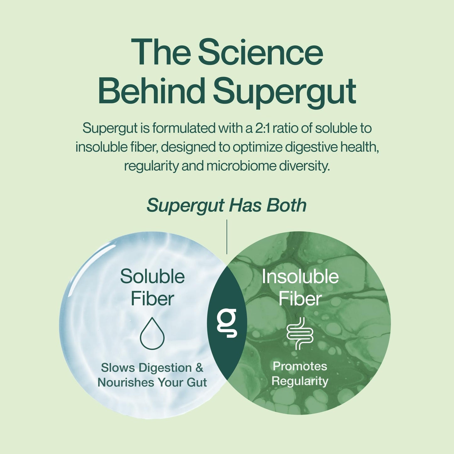 Supergut GLP-1 Boosting Prebiotic Bars, Chocolate Brownie - Gut Healthy Protein Snacks & Breakfast Bars - Keto-Friendly Meal Replacement Energy Bars