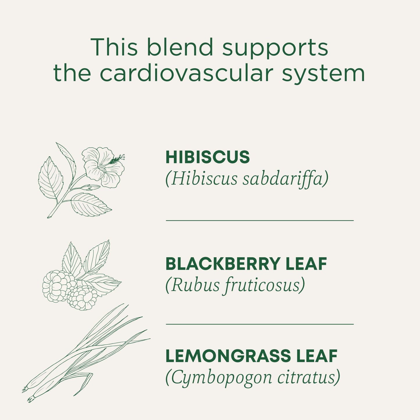 Traditional Medicinals Organic, Hibiscus Tea - Supports Normal Heart Health & Cardiovascular Wellness - Kosher, Non-GMO, Caffeine-Free, Compostable